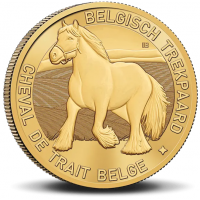 Belgie 2,50 Euro 2026 Belgisch Trekpaard UNC Belgie 2,50 Euro 2026 Belgisch Trekpaard UNC