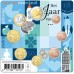 Nederland UNC blister set 12 - 2023 Nederland UNC blister set 12 - 2023