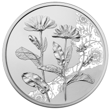 Oostenrijk 10 Euro 2022 De Goudsbloem Bloemen Zilver BU Blister