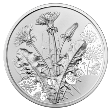 Oostenrijk 10 Euro 2022 De Paardenbloem Bloemen Zilver BU Blister