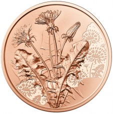 Oostenrijk 10 Euro 2022 De Paardenbloem Bloemen Koper UNC
