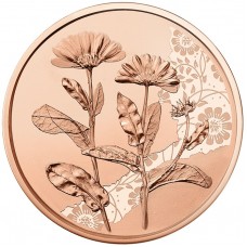 Oostenrijk 10 Euro 2022 De Goudsbloem Bloemen Koper UNC Oostenrijk 10 Euro 2022 De Goudsbloem Bloemen Koper UNC