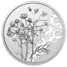 Oostenrijk 10 Euro 2023 De Kamille Bloemen Zilver BU Blister