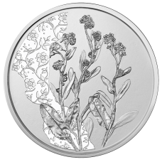 Oostenrijk 10 Euro 2023 Het Vergeet-me-nietje Bloemen Zilver BU Blister