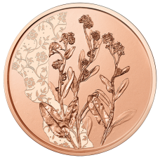 Oostenrijk 10 Euro 2023 Het Vergeet-me-nietje Bloemen Koper UNC