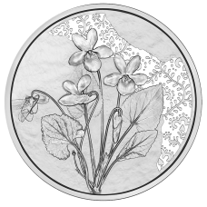 Oostenrijk 10 Euro 2024 De Violet Bloemen Zilver BU Blister