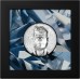 Cook Islands 20 dollars 2023 SILVER BURST 3.0 3 oz silver coin Cook Islands 20 dollars 2023 SILVER BURST 3.0 3 oz silver coin
