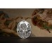 Cook Islands 5 dollars 2023 X-RAY 3) CREATION OF ADAM - 1 oz silver coin Cook Islands 5 dollars 2023 X-RAY 3) CREATION OF ADAM - 1 oz silver coin